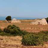 ...ed ecco, dopo alcune curve, aprirsi sulla sinistra una distesa di terra rossa sulla quale spuntano qua e l� piccoli alberi, arbusti e soprattutto solitari trulli in pietra. Sullo sfondo, il blu del mare